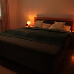Large In Cassovar With Underground Garage Apartman